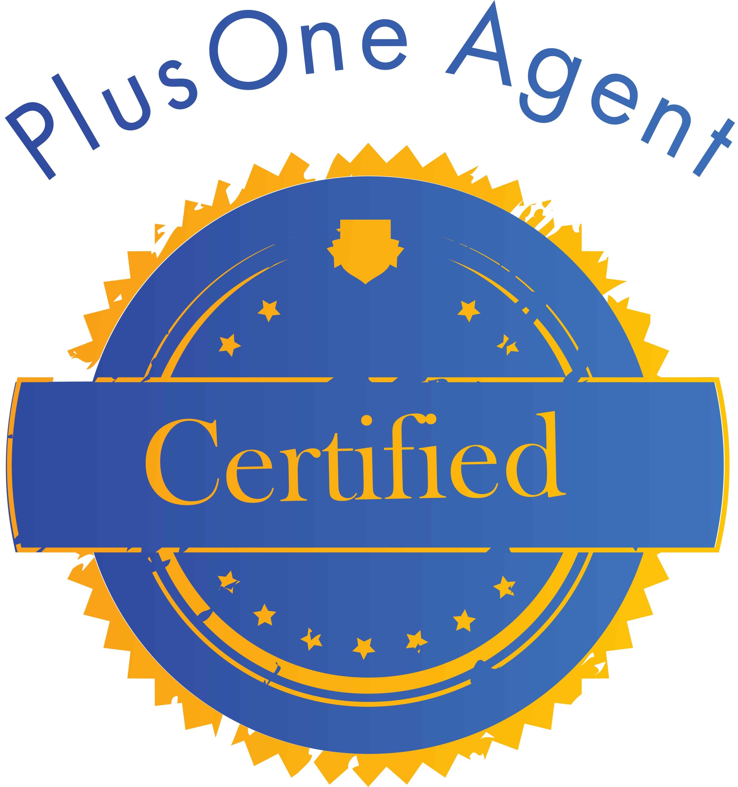 PlusOne Agent Wothout level