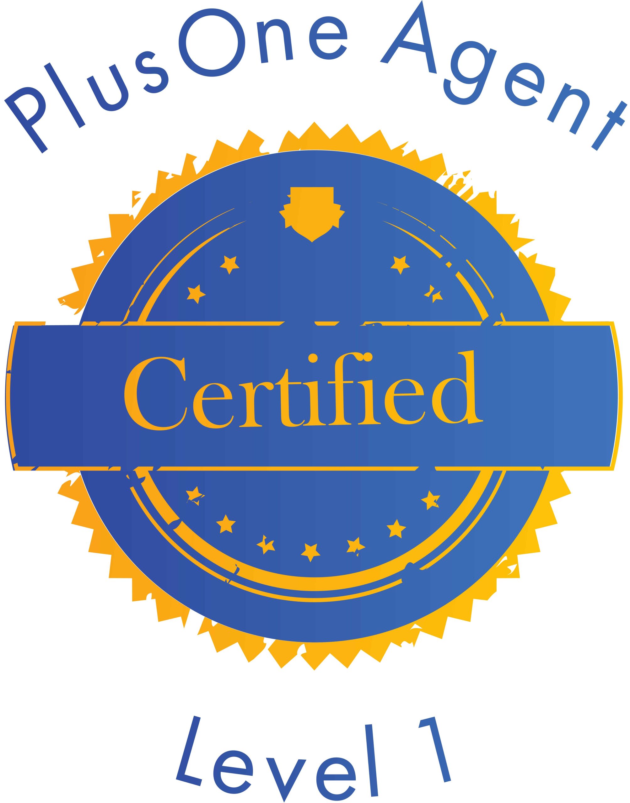 PlusOne Agent level 1 Werid